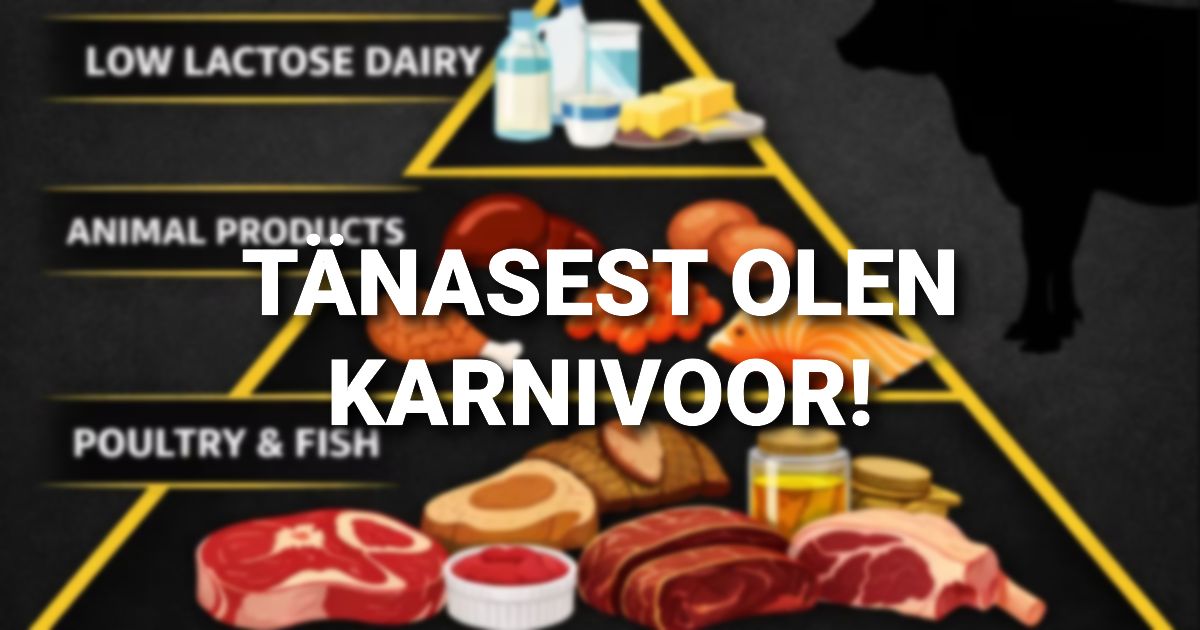 Tanasest olen karnivoor
